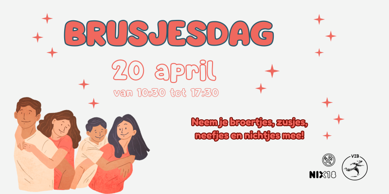 Brusjesdag