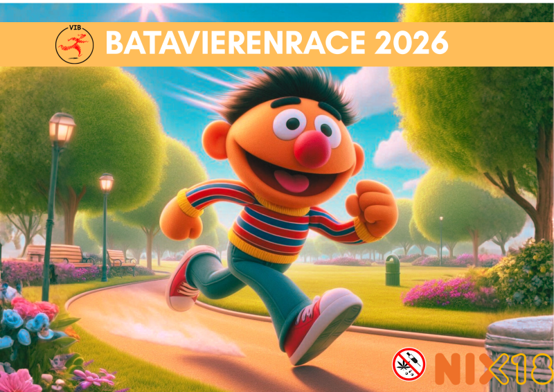 Batavierenrace