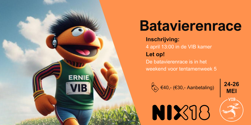 Batavierenrace