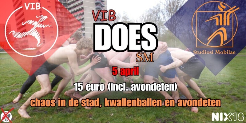 VIB-does-SM-dag