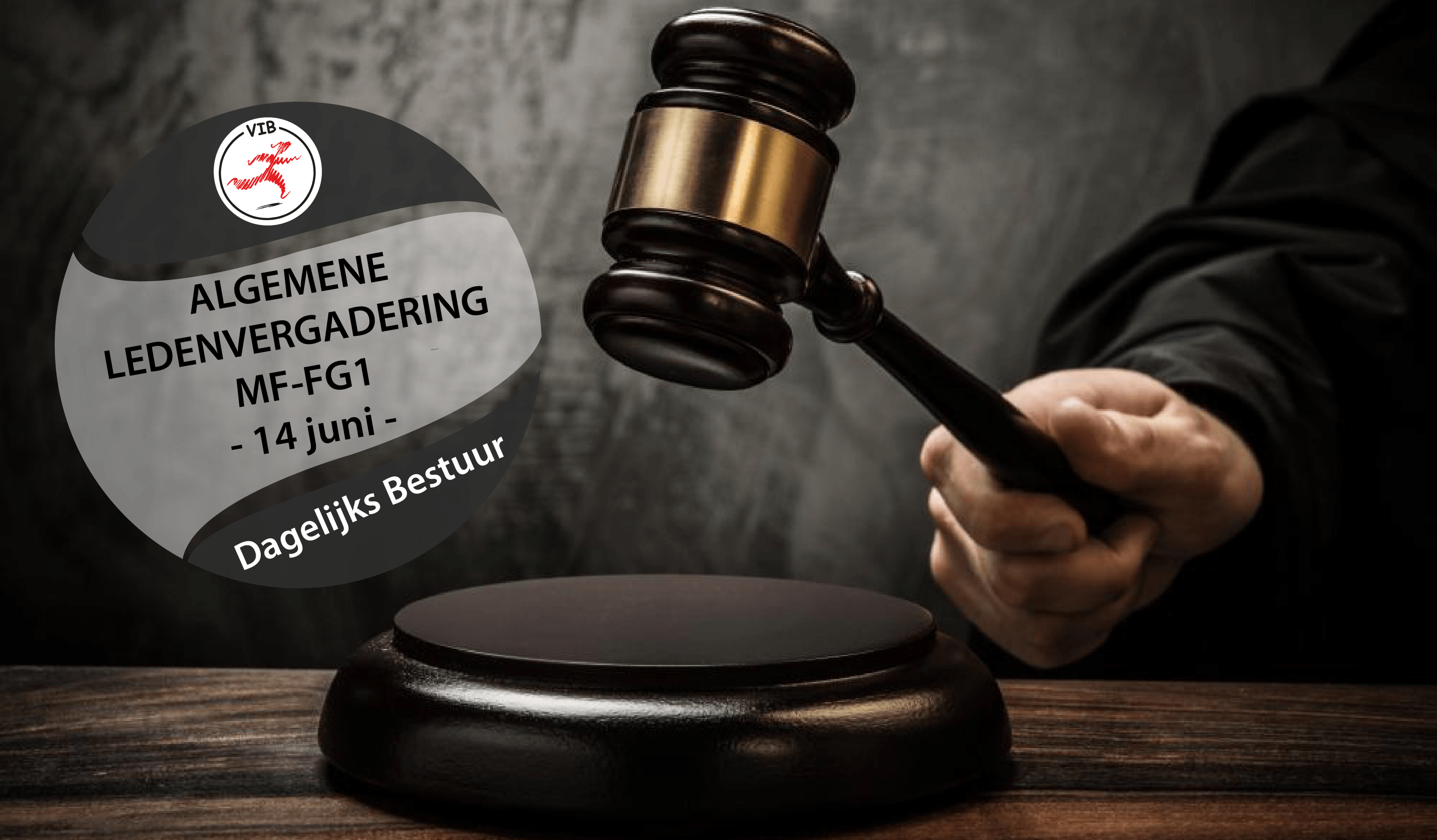 Algemene Ledenvergadering