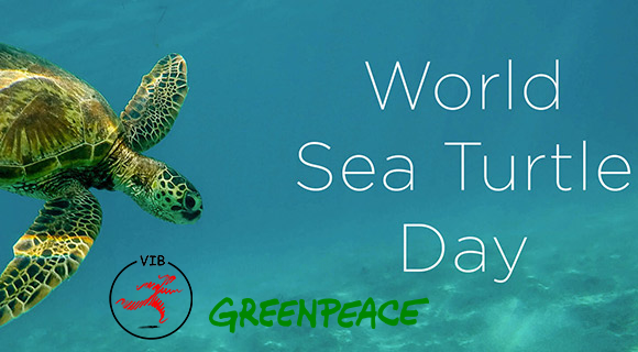 Save the turtle day!